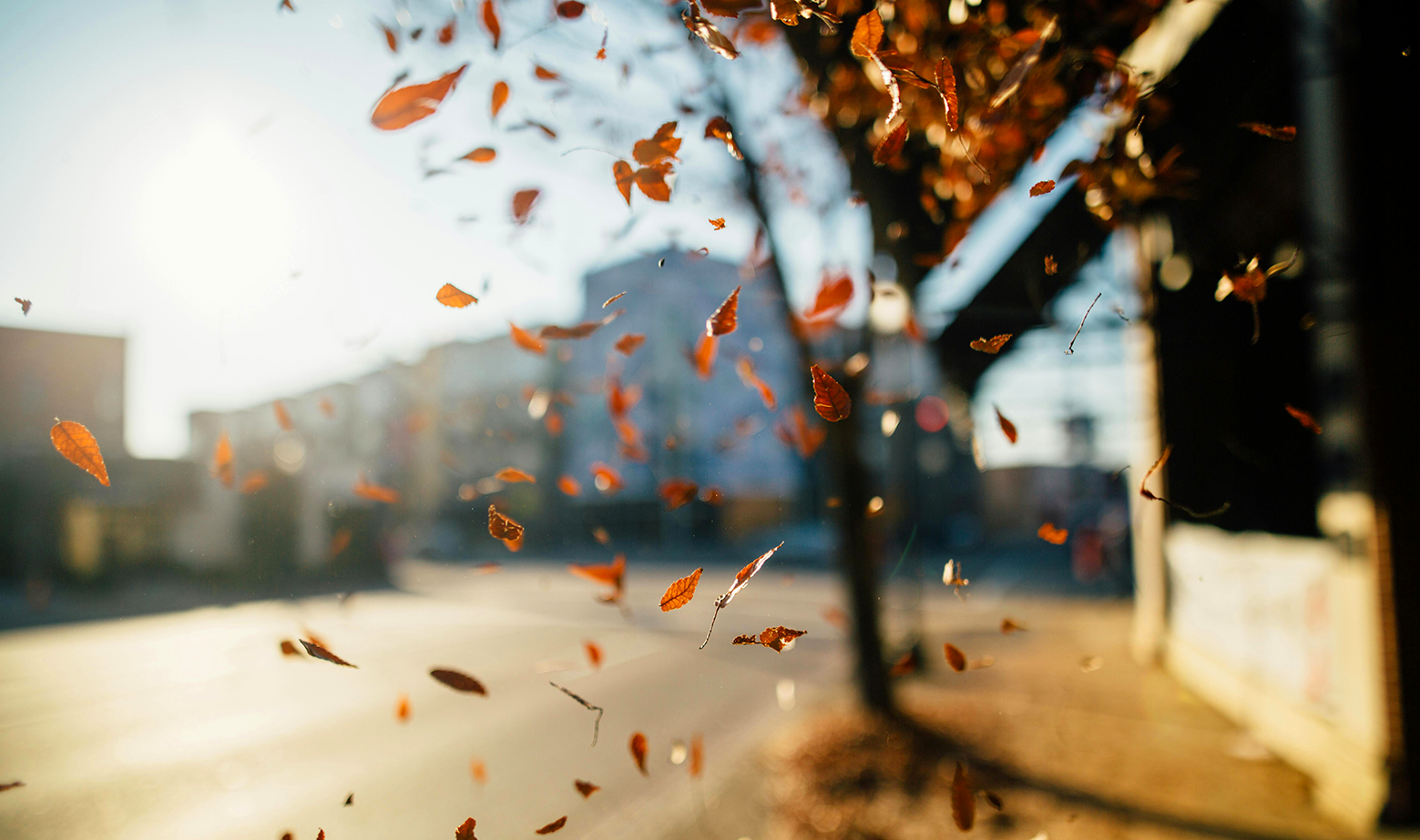 Get ready for the power of Autumn's Energy