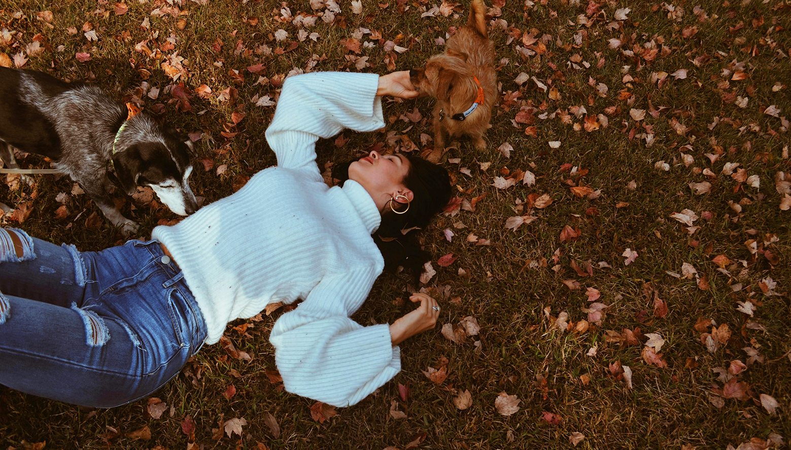 Autumn's Energy has a rejuvenating power