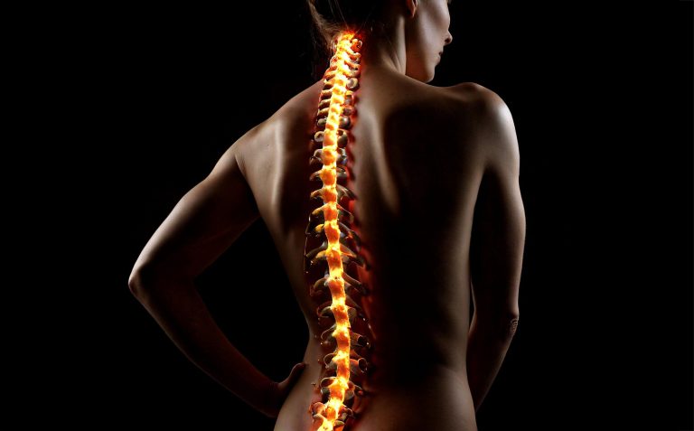 World Spine Day focusses attention to spinal issues