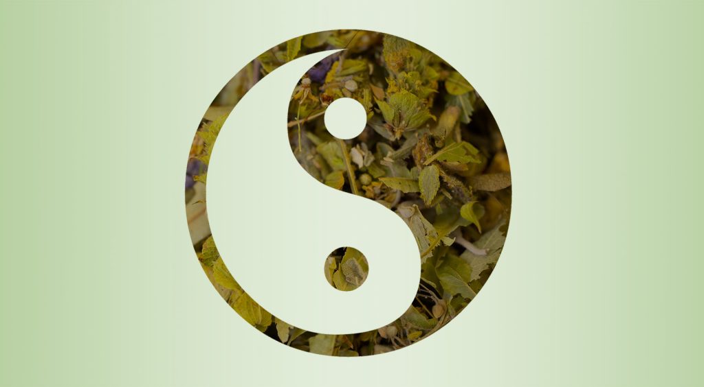 Why TCM Has Lasted So Long begins with the concept of ying and yang