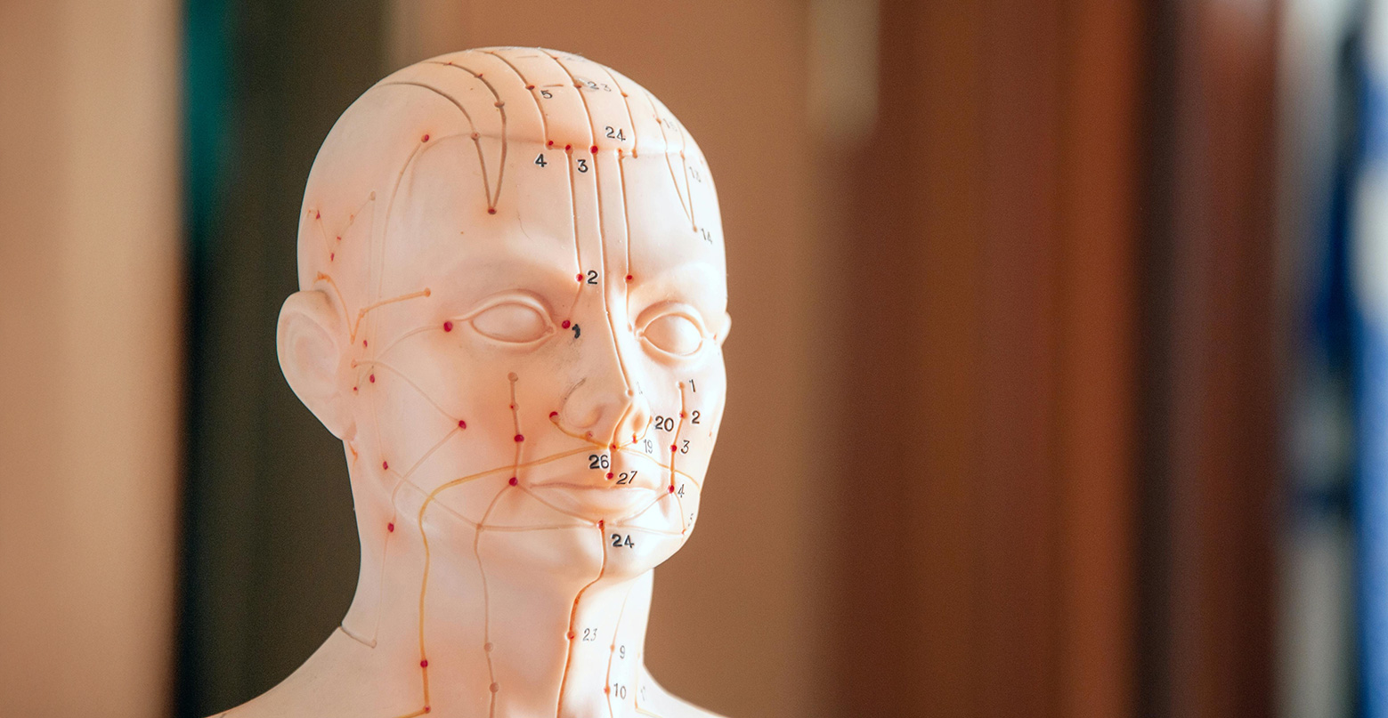 TCM focuses on the meridians of the human body