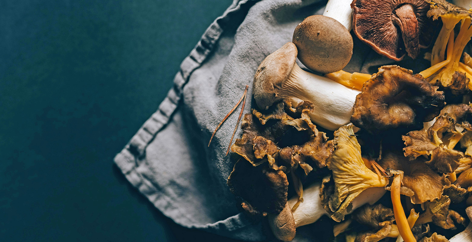 Shitake mushrooms can help us in Aligning with Winter’s Elemental Energy