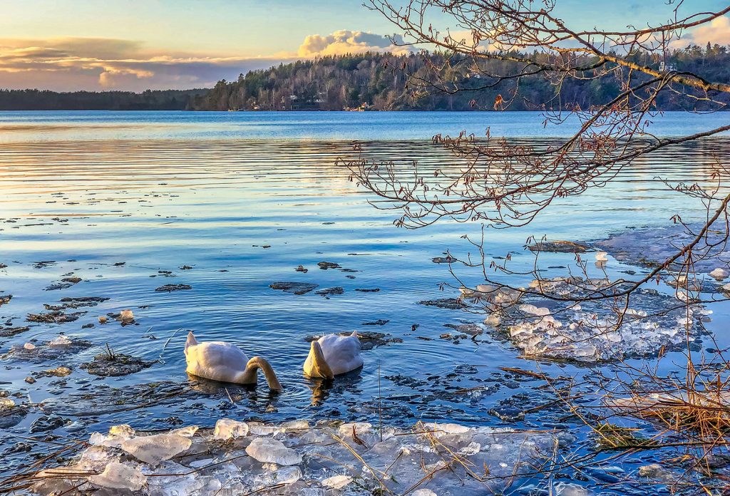 Water is a significant feature of Winter’s Elemental Energy