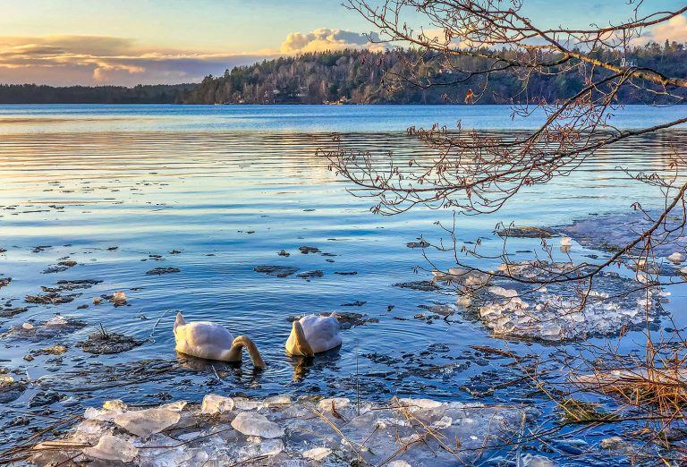 Water is a significant feature of Winter’s Elemental Energy