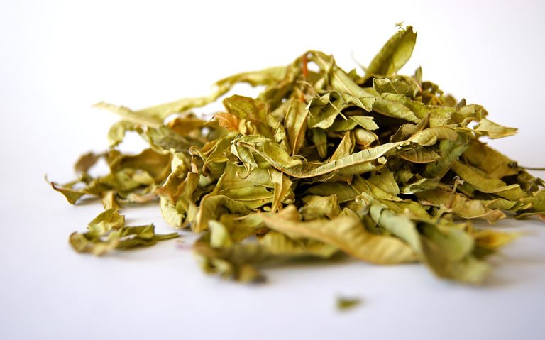 Chinese herbs for better sleep are available at Touch Tuina clinics